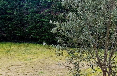 Chambre lit double, Salon, cuisine, jardin - Foto 8