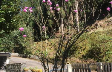 Quiet Place - Foto 12