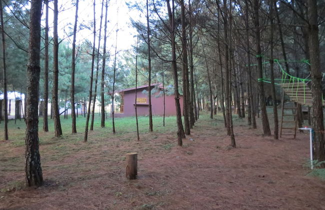 Viña Real Cabañas Rotamundos - Foto 39