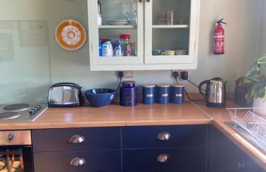 The Blue Door - Photo 7