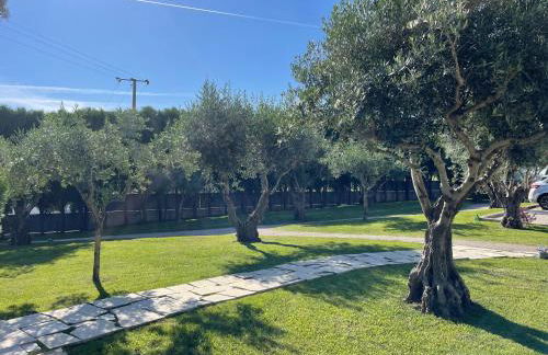 Casa de Lamaçais - Foto 66