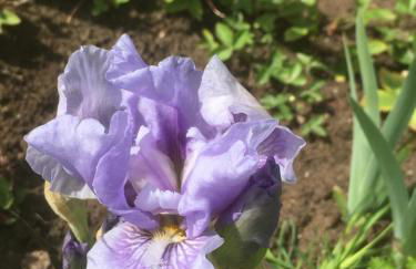 Oyster Barn sleeps six, North Norfolk - Foto 41