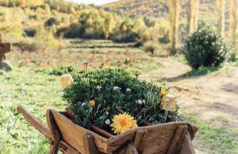 Alojamiento Turístico La alegría de la huerta - Foto 17