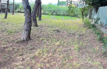 Casa olivar de Riudoms - Foto 17