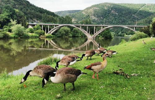 La Bayenne - Foto 16