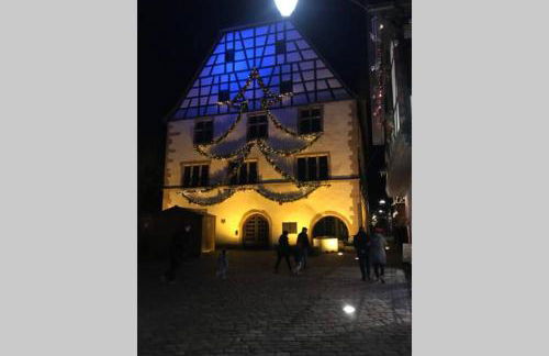 Coeur Alsace - Foto 25