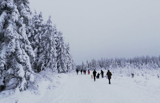 Family Home in Sourbrodt - Foto 35