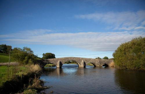 Felin Gogoyan - Photo 38