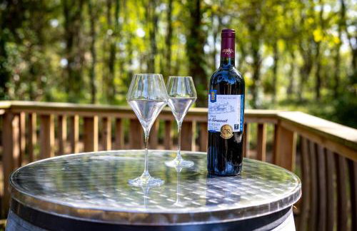 Otonneauxstress - Vigneron - Foto 13