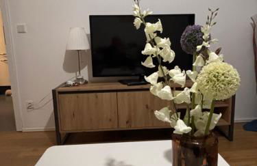 Baierrefreies Apartment Stielzchen Steinbeck - Foto 12