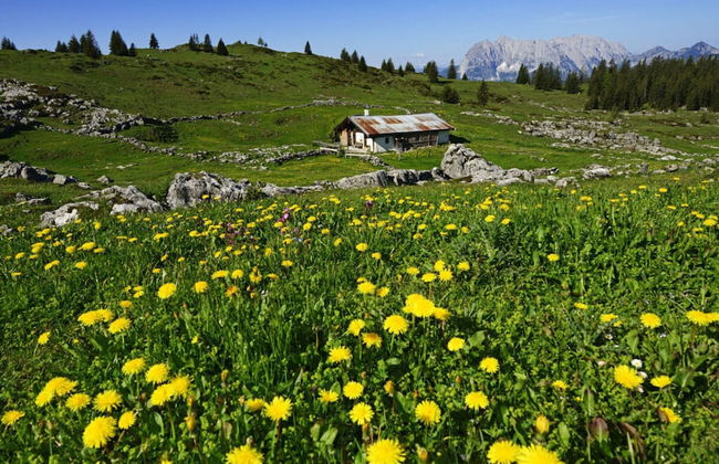 Lubbers Comfortable Holiday Residence - Foto 5