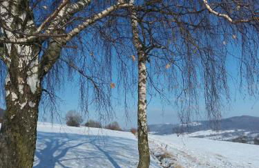 Ferienwohnung Ellen - Foto 28