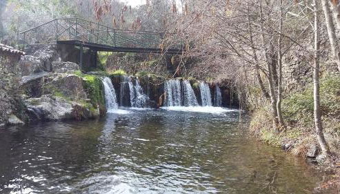 Casas dos Carregais - Foto 4, Other