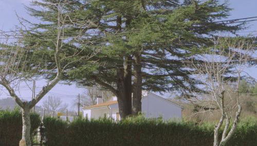 Casa da Melanie - Foto 4