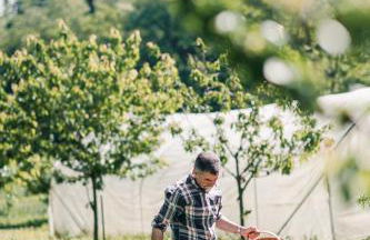 Agriturismo Ma Che Bel Castello - Photo 26