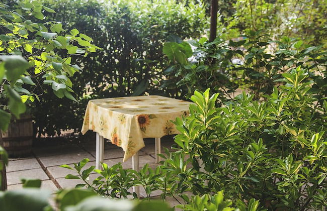 Case Vacanza Podere Risoino - Foto 60