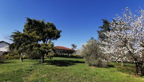 Maison Gaillacoise - Foto 5