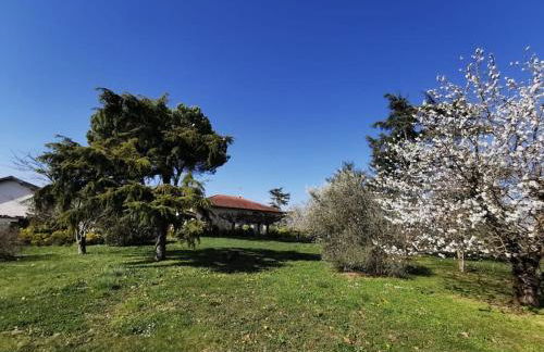 Maison Gaillacoise - Foto 5