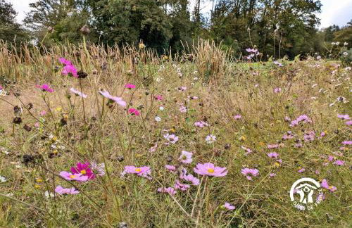 La Lande du Pont - Photo 37