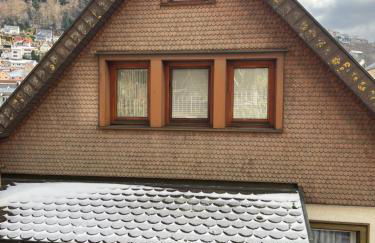 Ferienwohnung im Herzen Tribergs - Foto 22