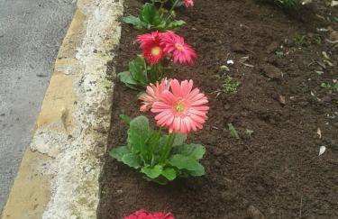 Villa Tiberio - Foto 75