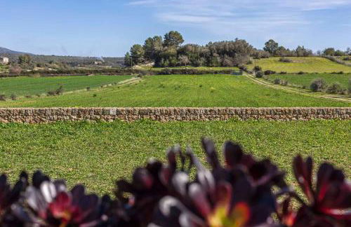 Son Guillot De'n Pedro - Foto 28