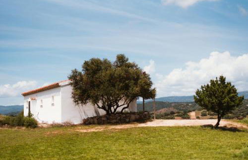 Auberge Santu Martine: Cottage with pool (Pira) - Foto 61