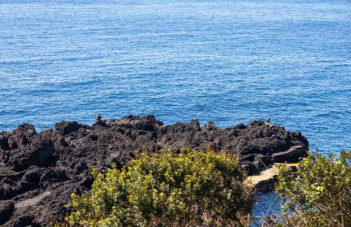 Cantinho dos Cagarros - Photo 44