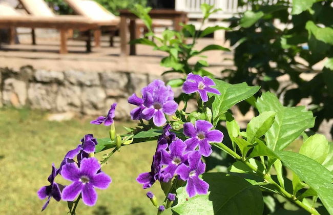 Gorgeous Family Pool Villa In Gocek - Photo 19