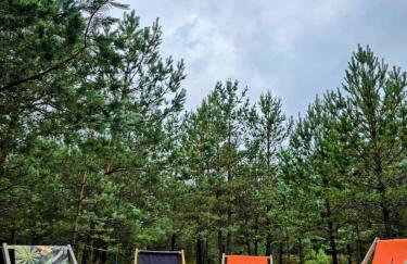 Borsk Sielanka - Foto 25