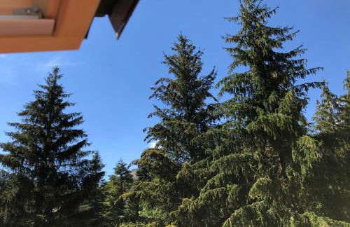 Chalet dell'Orso - Foto 55