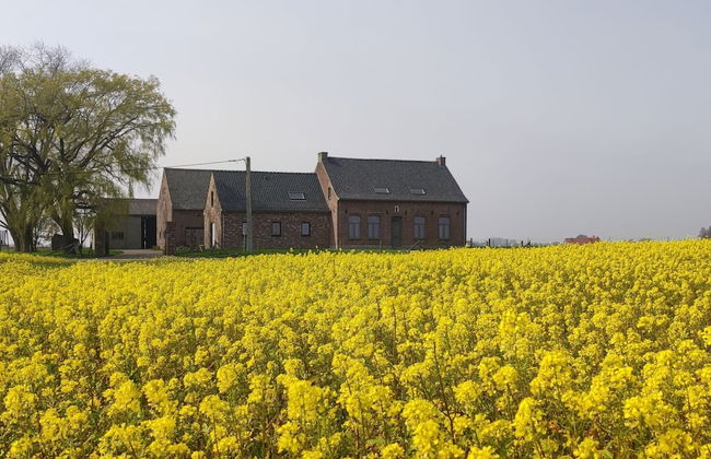Mansion in Roesbrugge With Garden - Photo 29