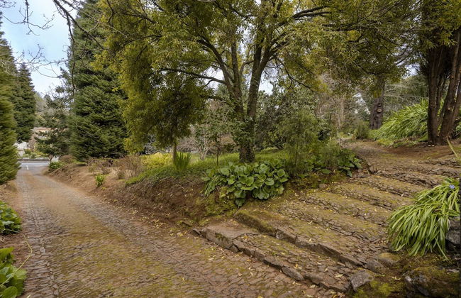 Surrounded by Nature - Casa da Cebola - Foto 26