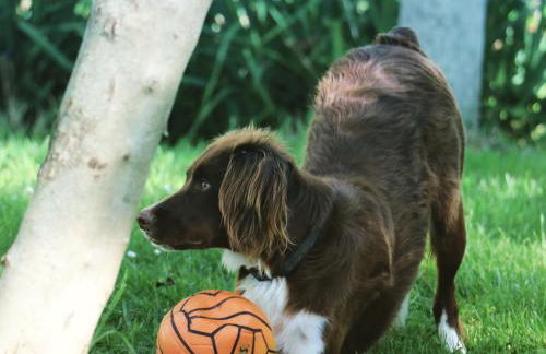 Agriturismo La Corte del Lupo - Photo 5