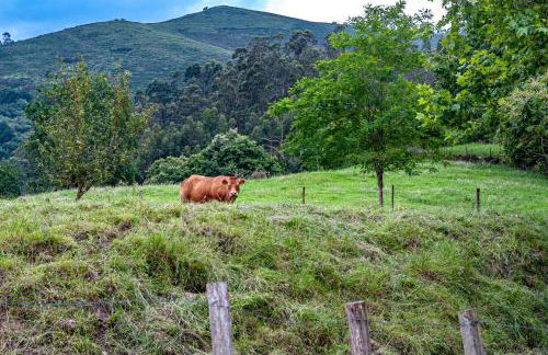 La casita de susa en mazcuerras - Foto 28