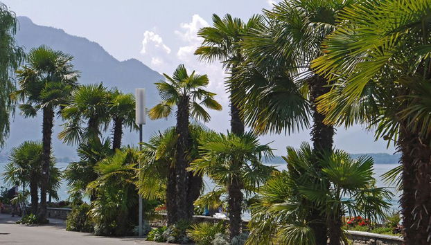 Visite privée à pied de Montreux - Photo 5