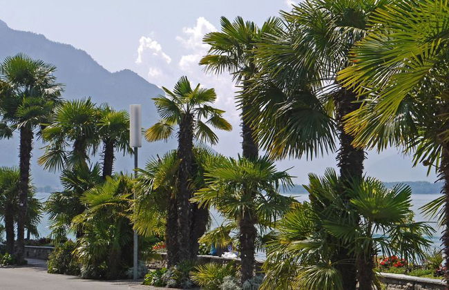 Visite privée à pied de Montreux - Photo 5