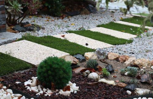 Sonho Verde - Foto 25