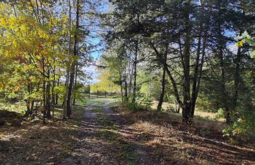 Kleine Freiheit Nummer 3 - Foto 20