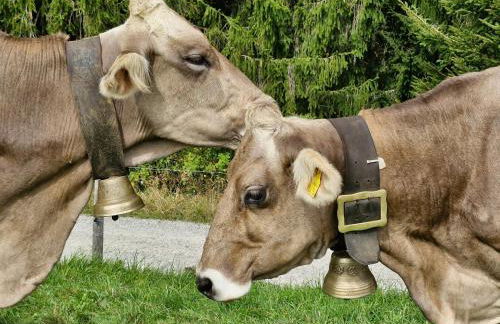 Top modernes Appartement mit Blick ins Grüne - Foto 31