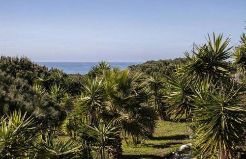 Pé na Praia - Foto 8