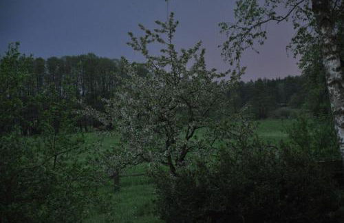 Villa Osterloff - Foto 39