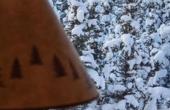 Denali Wild Stay - Moose Cabin, Free Wifi, 2 private bedrooms, sleep 6 - Photo 36