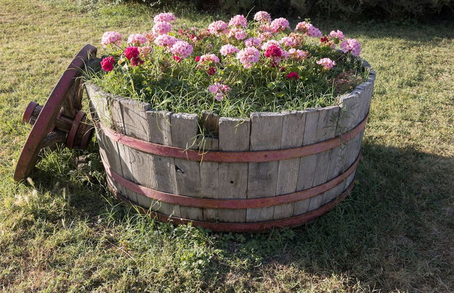 La Casa di Campagna - Foto 58