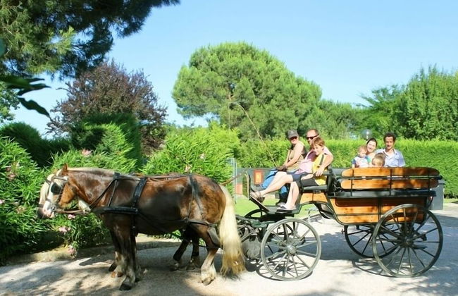 Agriturismo La Piana - Foto 66