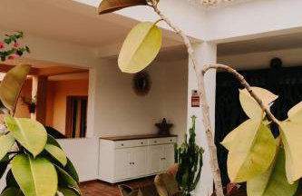 Casita Estrella bord de mer à Cala Pi - Photo 10