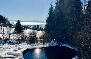 Alpenblick-Hotzenwald - Foto 5