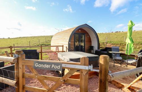 Gander Pod at Salford Court Farm Fishing Cabins - Foto 12