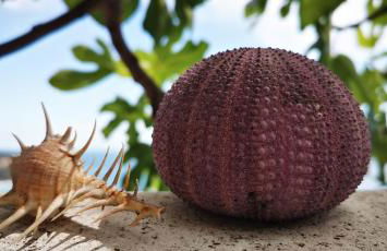 Vue magnifique, piscine privée chauffée et sauna à 10min de Monaco - Foto 14