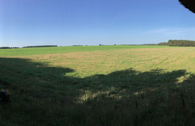 Ferienhaus Mirow-Lärz - Kamin Wald Ruhe - Foto 55